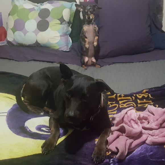 Meet your Posher, Carly - Picture 3 of 3